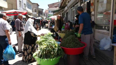 Doğal otlar, hem şifa hem geçim kapısı oluyor