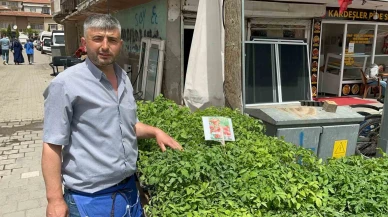 Bahar Gelince Fideler Tezgahları Süslüyor