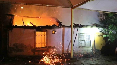 Gecekondu Yangını, Kadın Kediler İçin Gözyaşı Döktü
