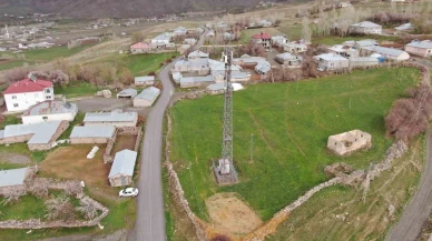 Baz İstasyonu Direği Kargaların Evi Oldu