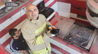 Araçtan minik mucize