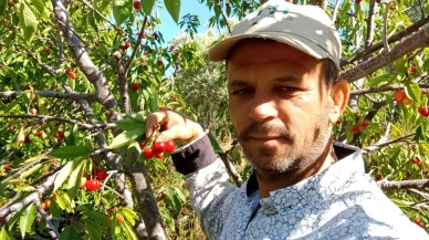 Düşük Verime Yüksek Fiyat Dengesi
