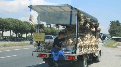 Kamyonet kasasında tehlikeli yolculuk