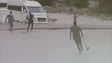 Köpekler Çocuğa Saldırdı