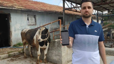 200 Bin TL’lik Kurbanlık Dolandırıcılığı Şoku