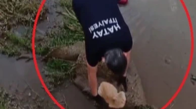 Su Kanalında Kediyi Buldu, Yardıma Koştu