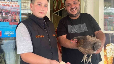 Tavuk Dönerciyi Yumurtlamak İçin Seçti