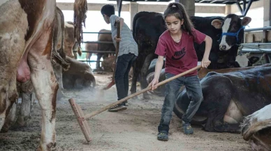 Kurban Pazarı’nda Küçük Yaşta Büyük Sorumluluk