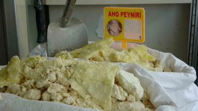 Aho Peyniri Coğrafi İşaret Tesciline Hazırlanıyor