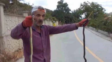 Yolda Gördü Elleriyle Tuttu