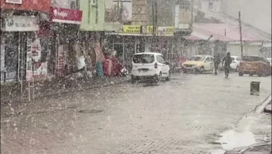 Bingöl'de Nisan Sürprizi: Lapa Lapa Kar Yağdı