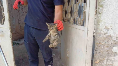 Motor Bölümüne Sıkışan Kedi Kurtarıldı