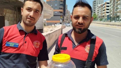 Şanlıurfa’da Evin Mutfak Bölümünde Görülen Yılan Doğaya Salındı