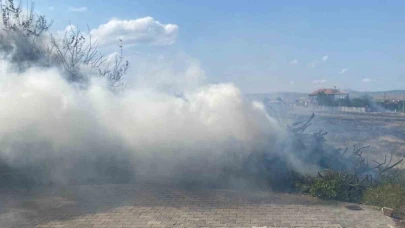 Boş Arsada Çıkan Yangın 5 Ton Odunu Kül Etti