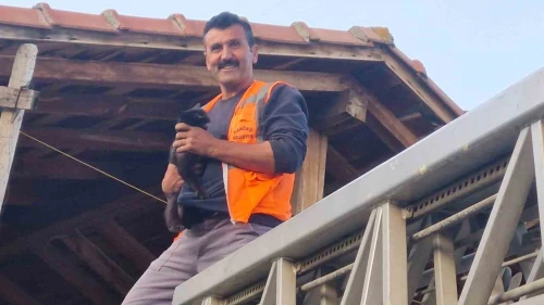 Mahsur Kalan Kediye İtfaiye Desteği