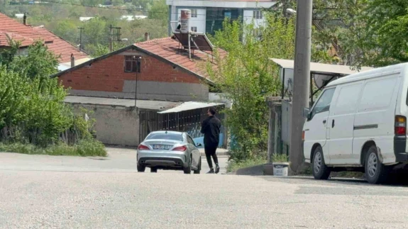Kaplumbağalar Karabük'te Ezilmekten Kurtarıldı: O Anlar Kamerada