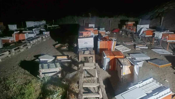 Arıcının Kulübesindeki Yangın, 35 Kovanı Yerle Bir Etti