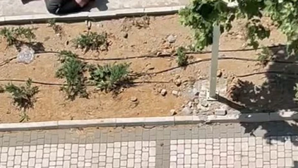 İstanbul'da İki Çocuğa Sokak Ortasında Şiddet: Olay Kamerada