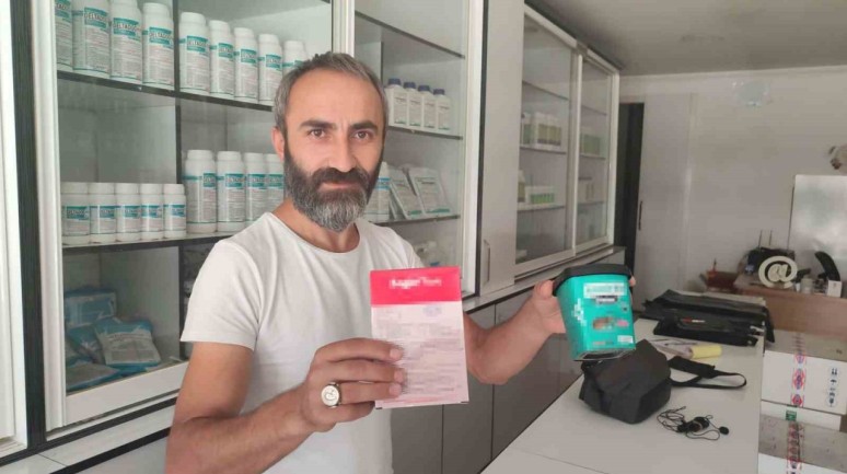 Kuralık ve Fare Paniği: İlaçlar Yetersiz Kalıyor