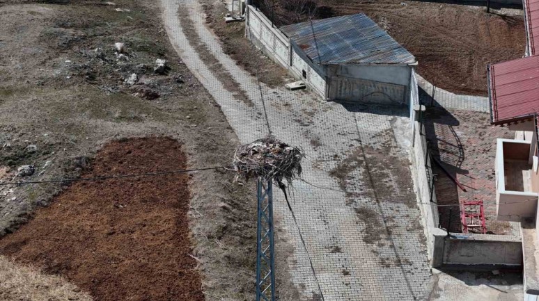 Sivas’ın Leylekli Köyünde Bahar Coşkusu Başlıyor