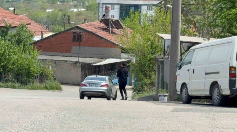 Kaplumbağalar Karabük'te Ezilmekten Kurtarıldı: O Anlar Kamerada