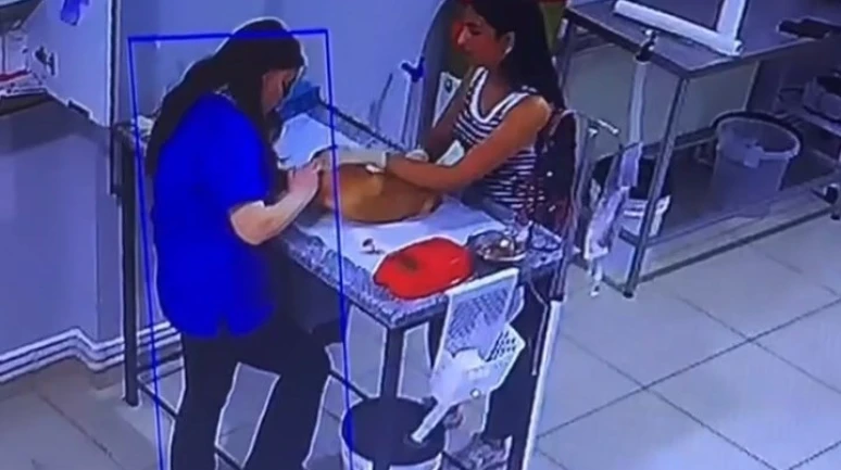 Köpeğini Tedaviye Getiren Kadın Muayene Sırasında Bayıldı