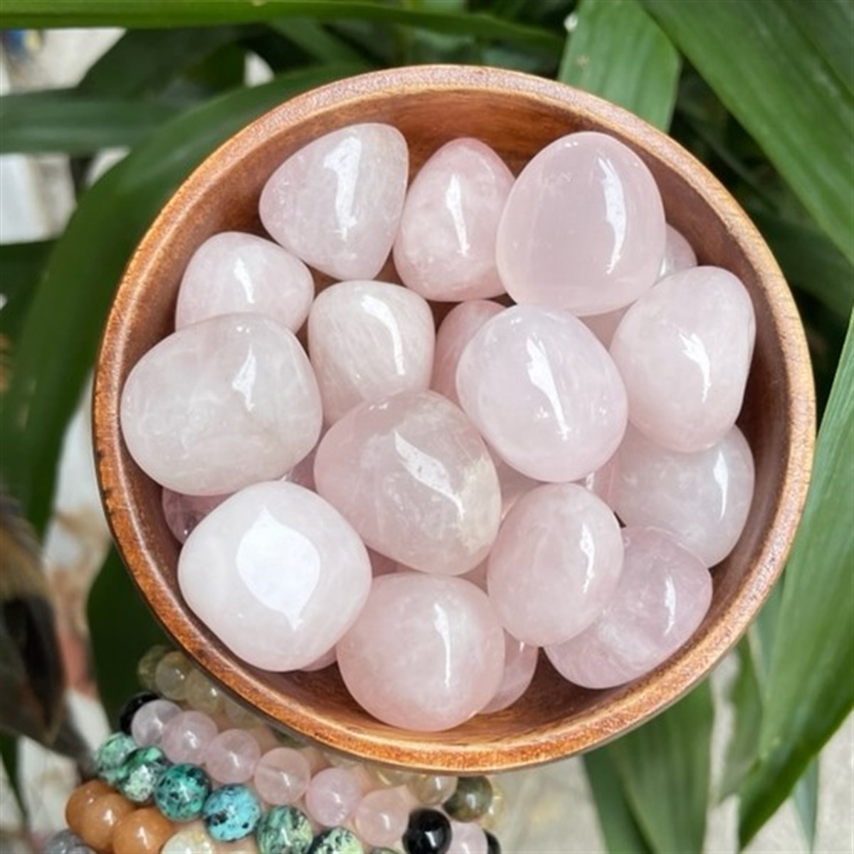 pembe-kuvars-9b4f-3
