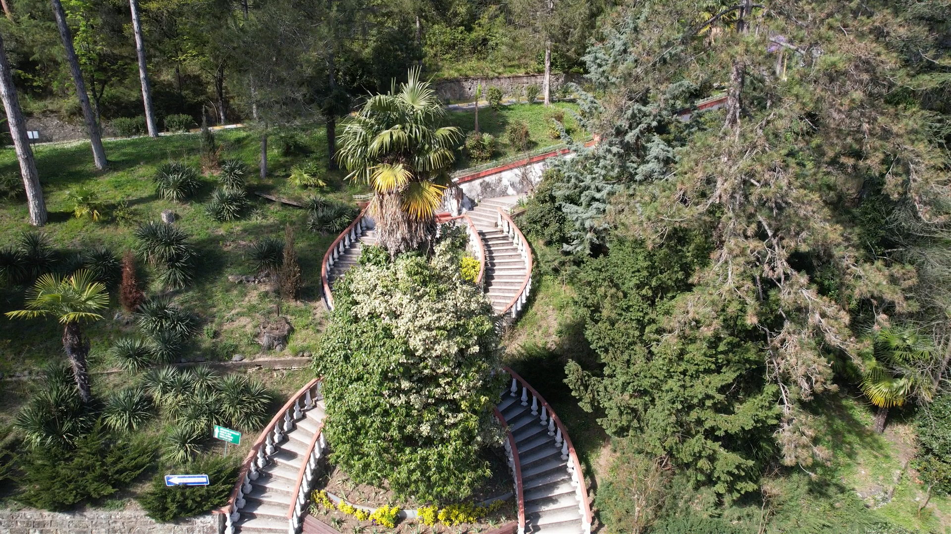Ağaç Müz (1)