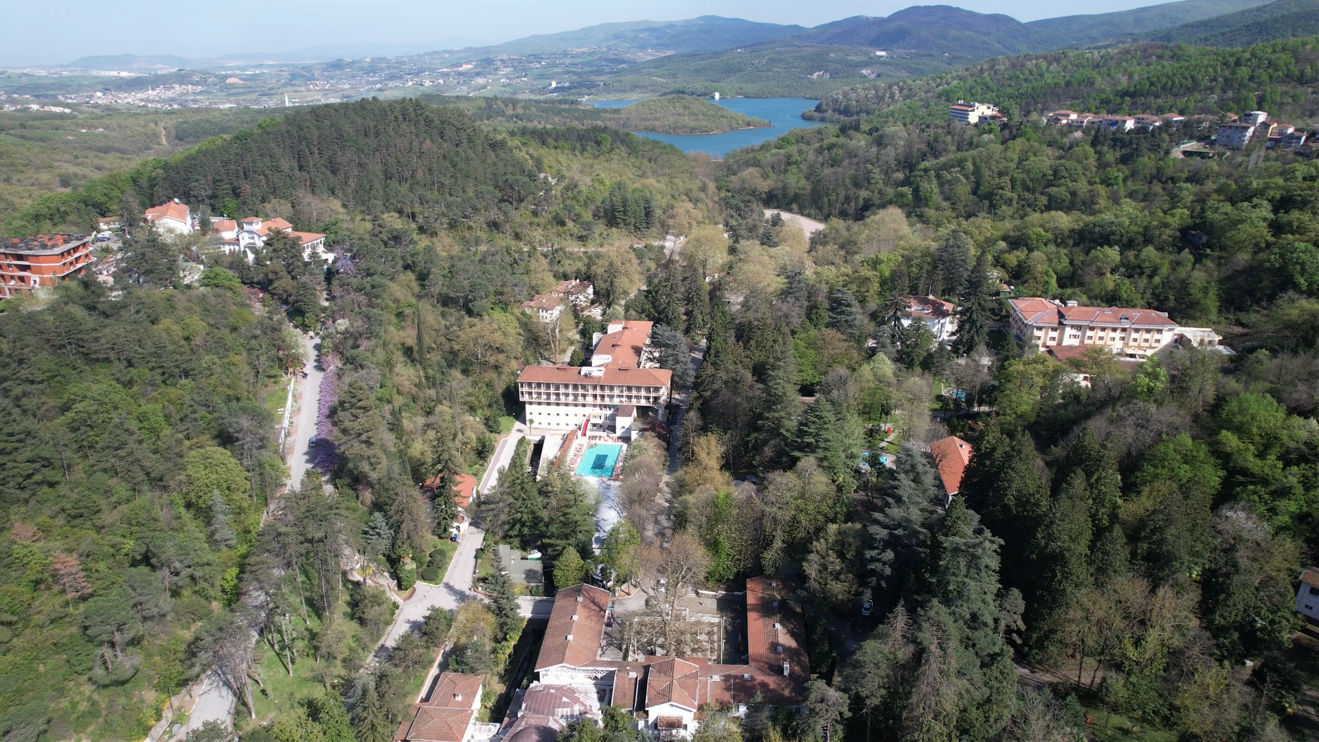 Ağaç Müz (2)