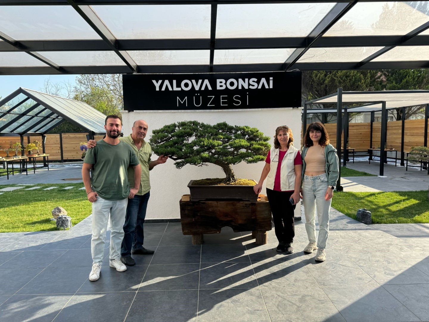 Müze Bonsai (2)