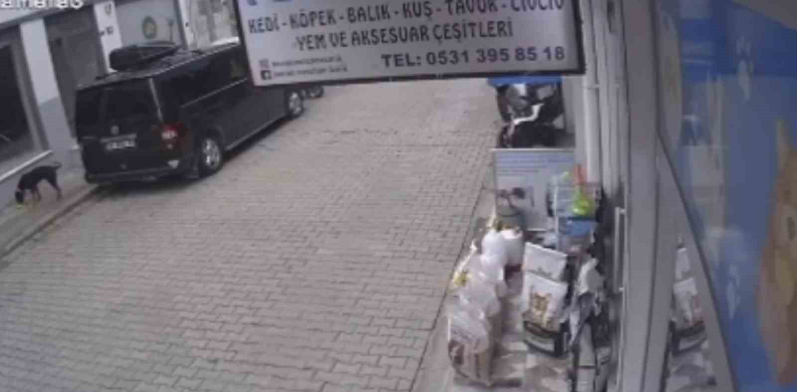 kediyi-kiskanan-kopek-mamayi-alip-kacti