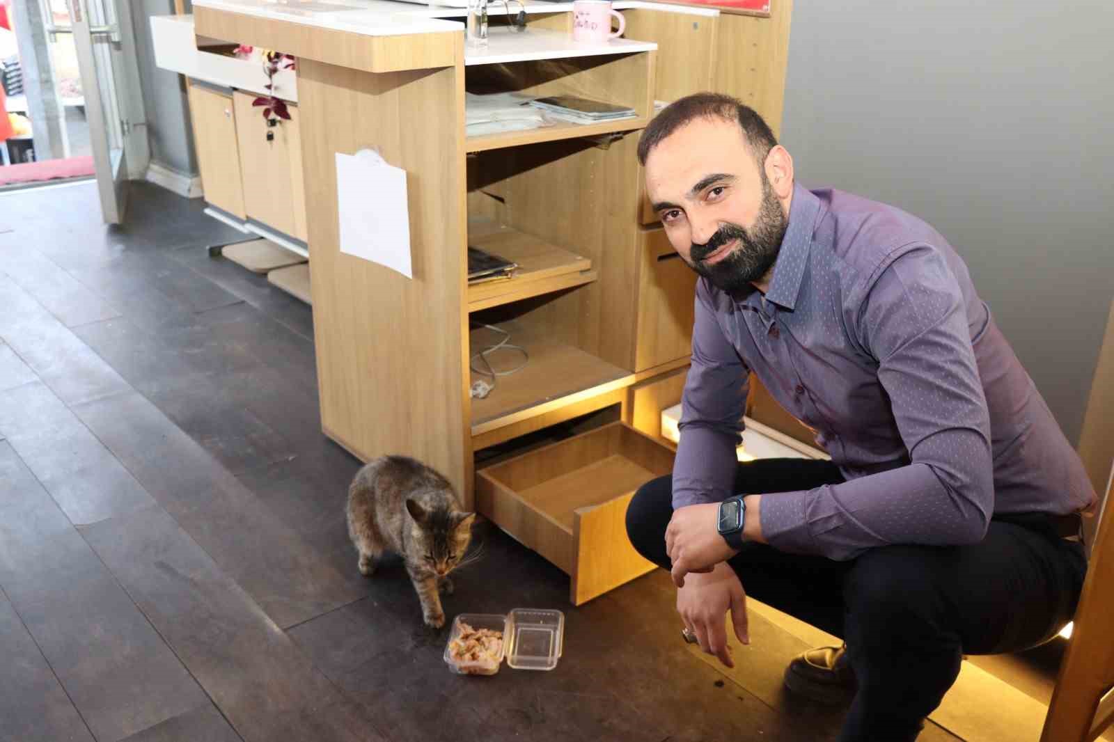 anne-kedi-yavrusunu-cekmecede-dogurdu