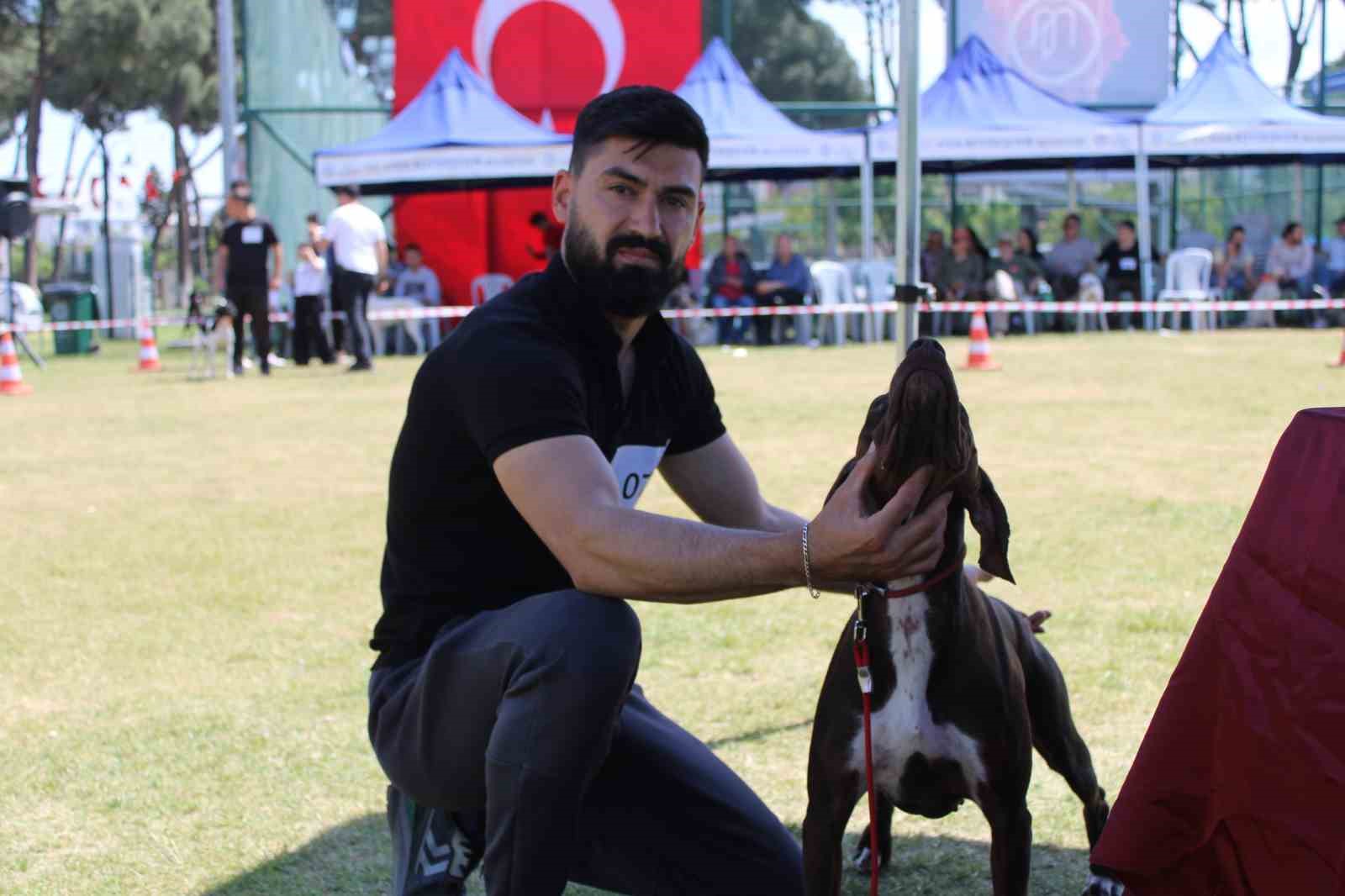 aydinda-kopekler-podyuma-cikti