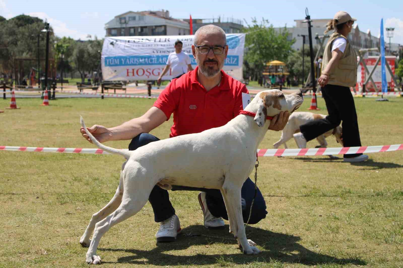 aydinda-kopekler-podyuma-cikti