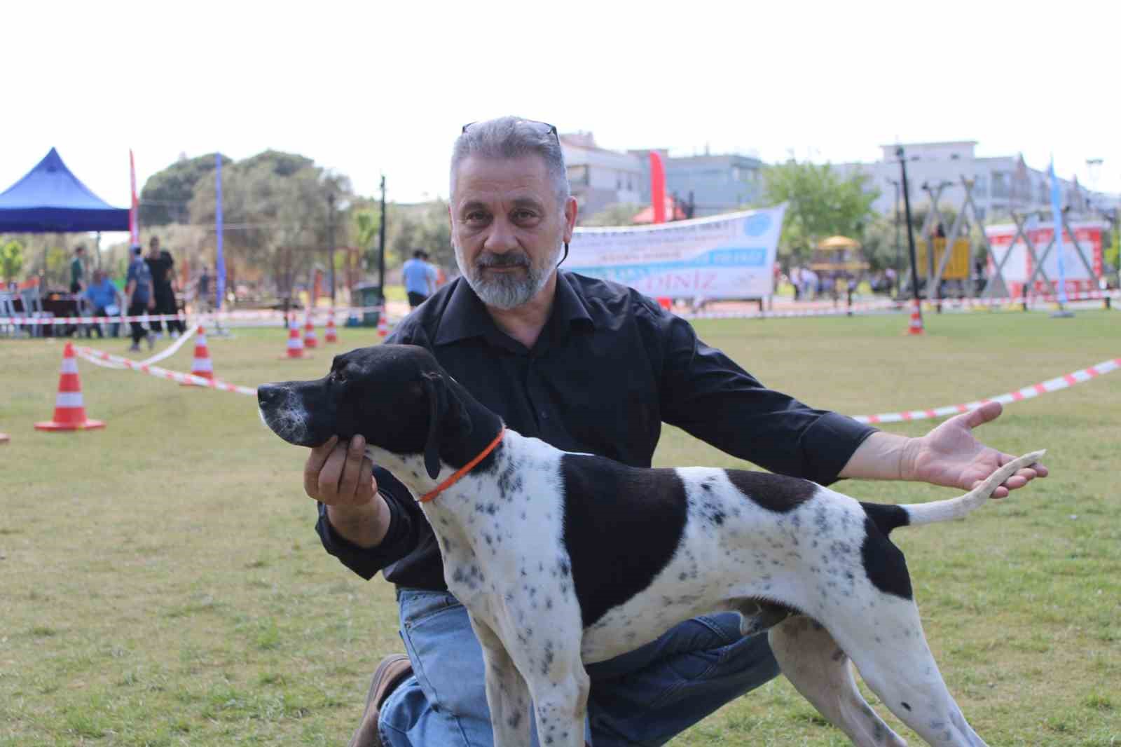 aydinda-kopekler-podyuma-cikti