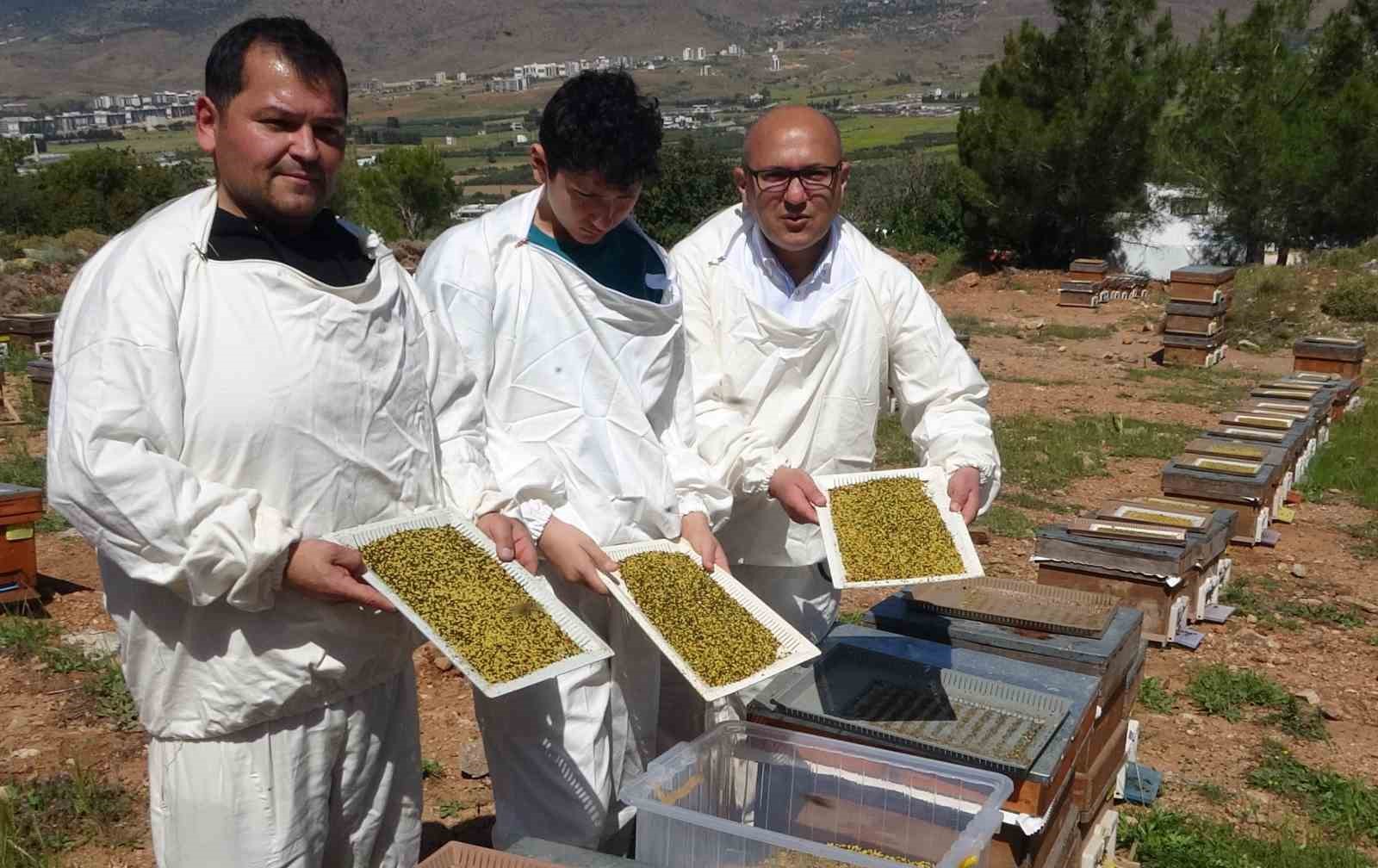 bahar-meyvesini-verdi-sifa-deposu-polende-hasat-basladi