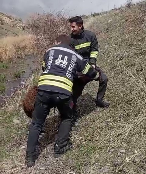 batakliga-saplanan-koyunu-kurtardilar