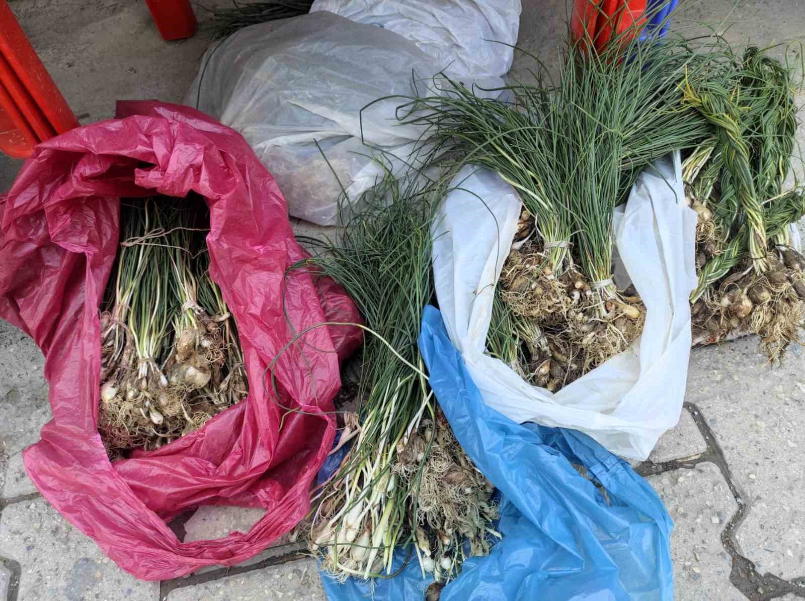dagdan-toplaniyor-kilosu-10-bin-tlye-satiliyor