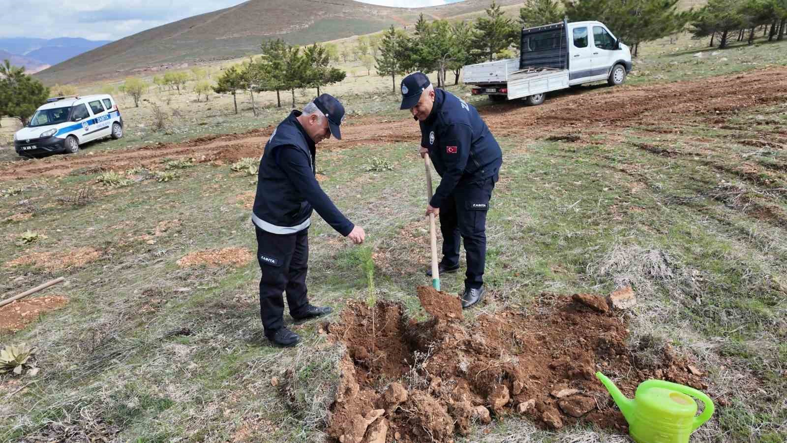divrigide-genclerden-yesil-izler