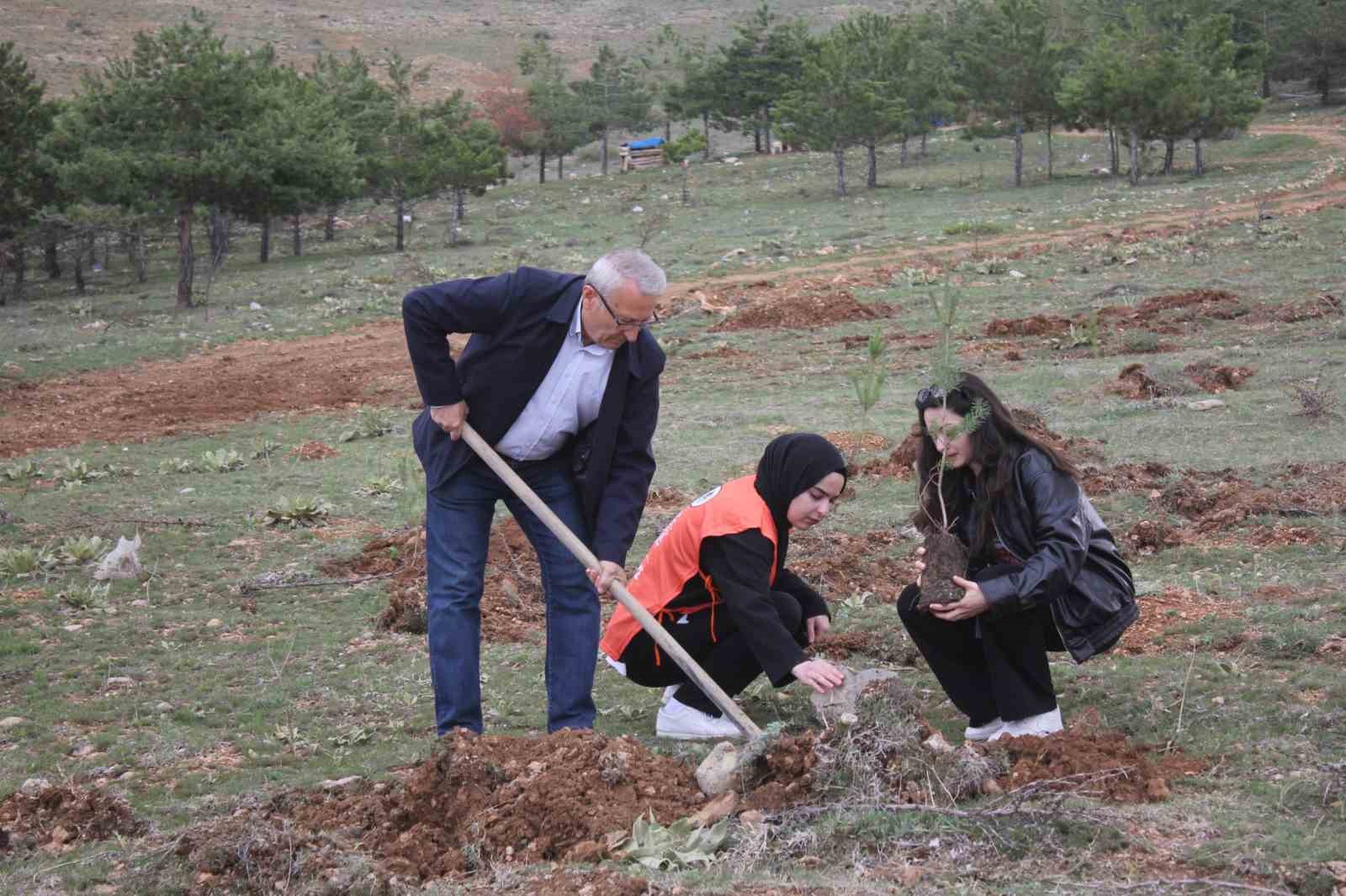divrigide-genclerden-yesil-izler