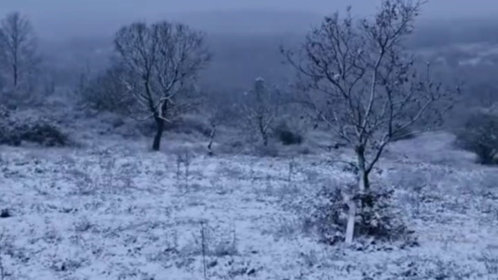 edirne-kar-yagisiyla-beyaza-burundu