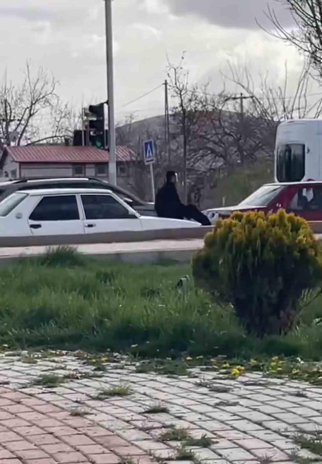 elazigda-sasirtan-olay-iki-fiat-tofasin-arasina-girip-halat-gorevi-gordu