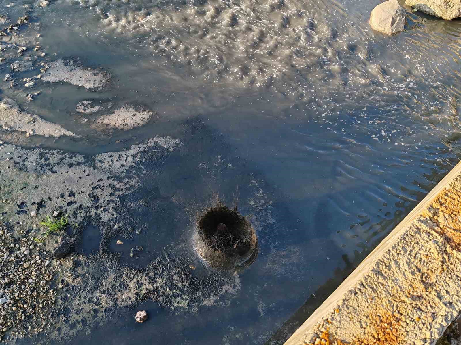 fabrikalarin-zehrini-kustugu-dere-can-cekisiyor