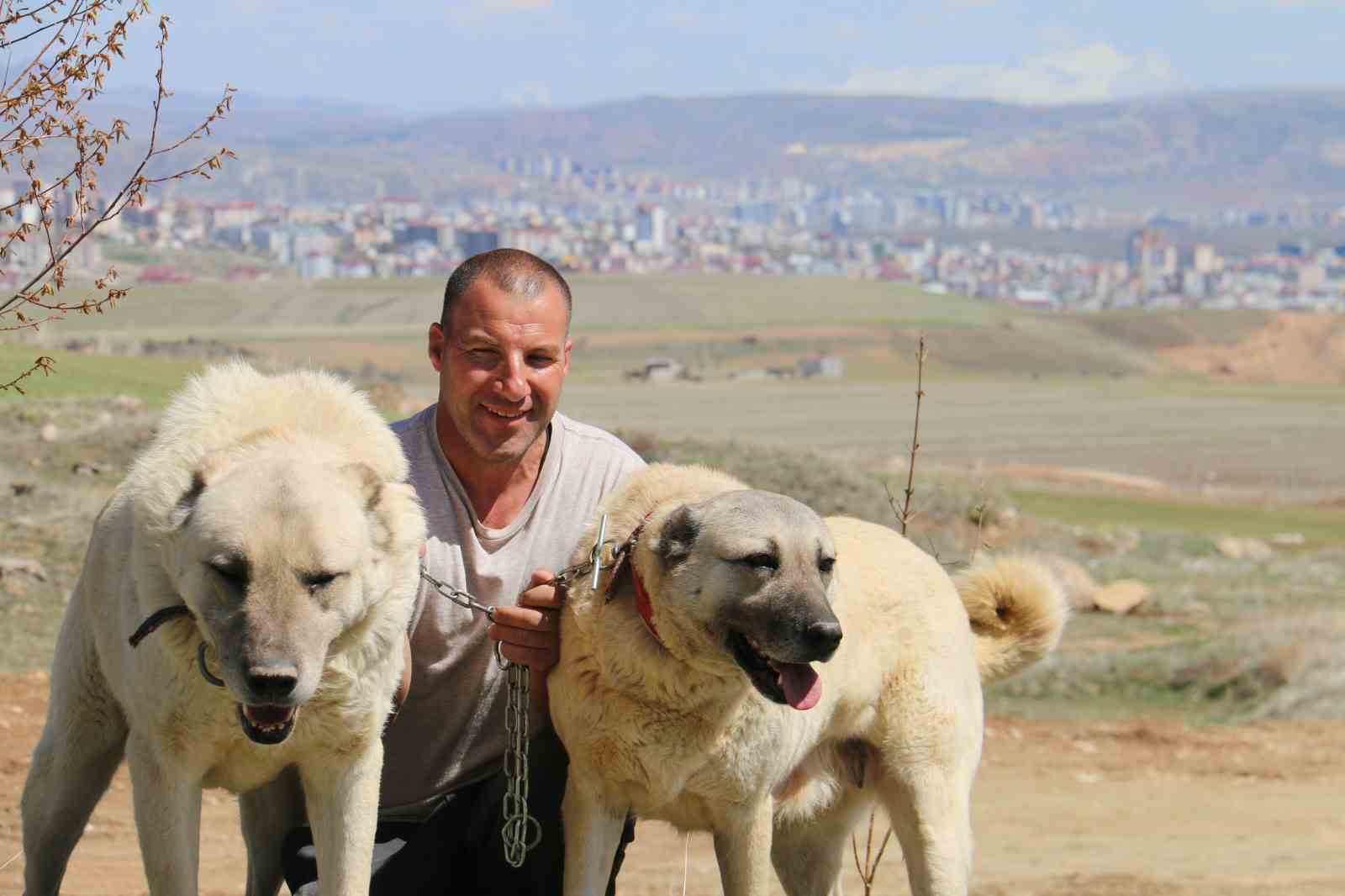 hava-degisiklikleri-kangallari-depresyona-soktu