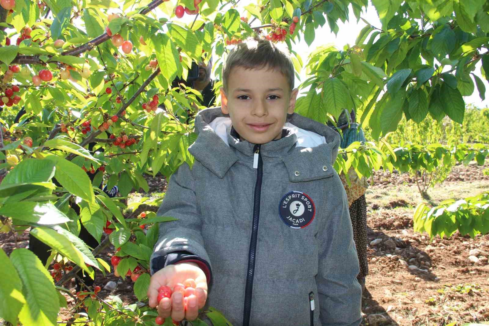 ilk-kirazin-kilosu-3-bin-500-tlden-satildi