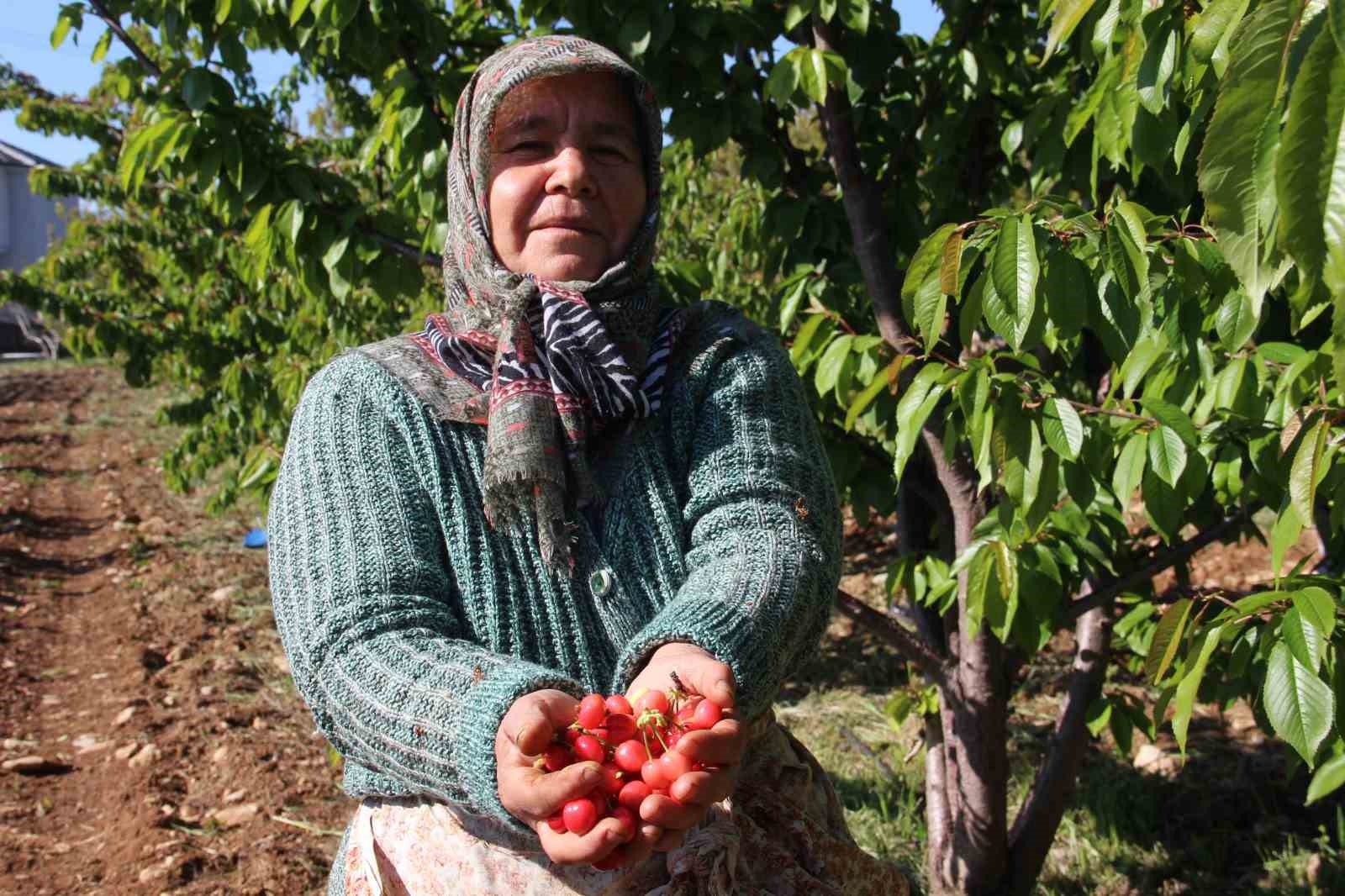 ilk-kirazin-kilosu-3-bin-500-tlden-satildi