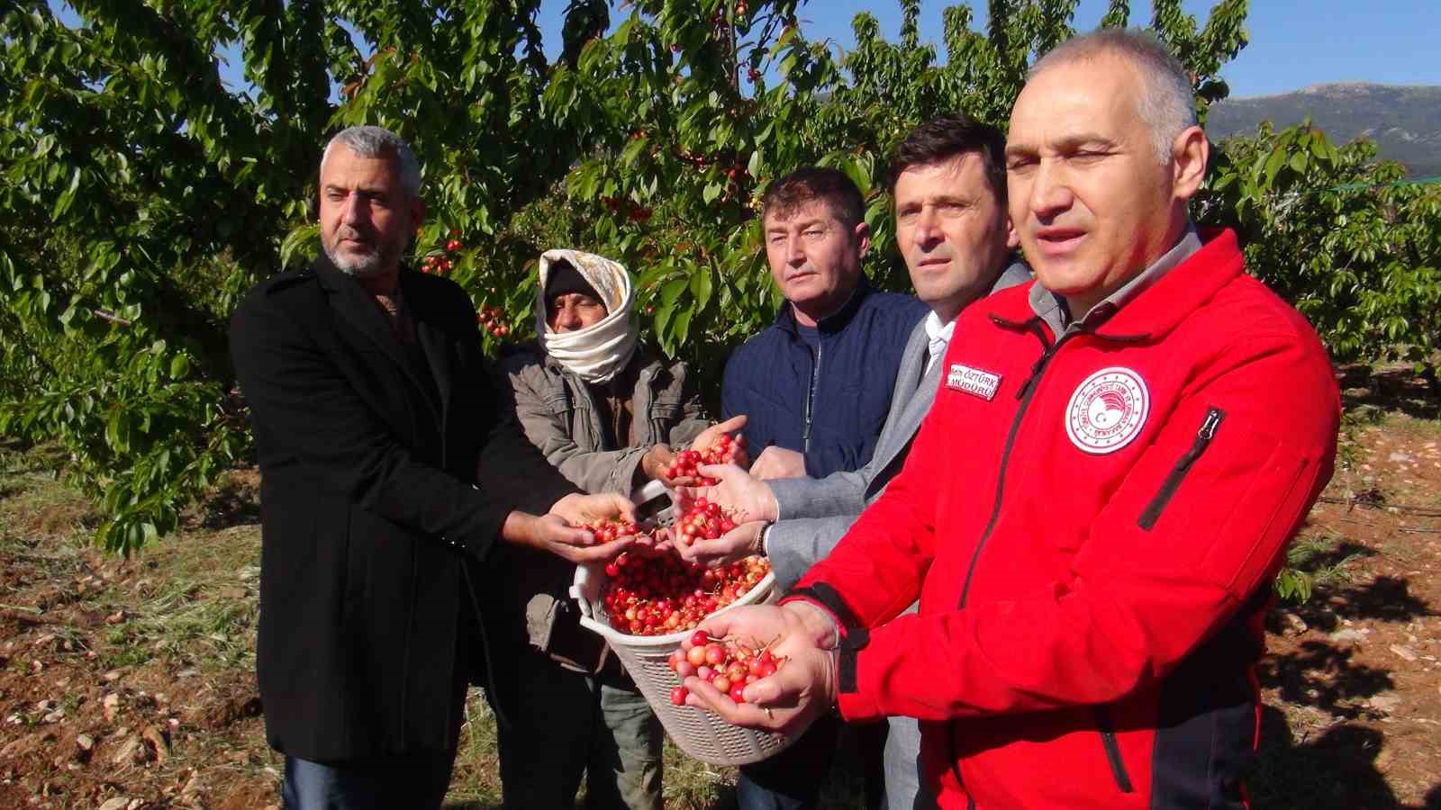 ilk-kirazin-kilosu-3-bin-500-tlden-satildi