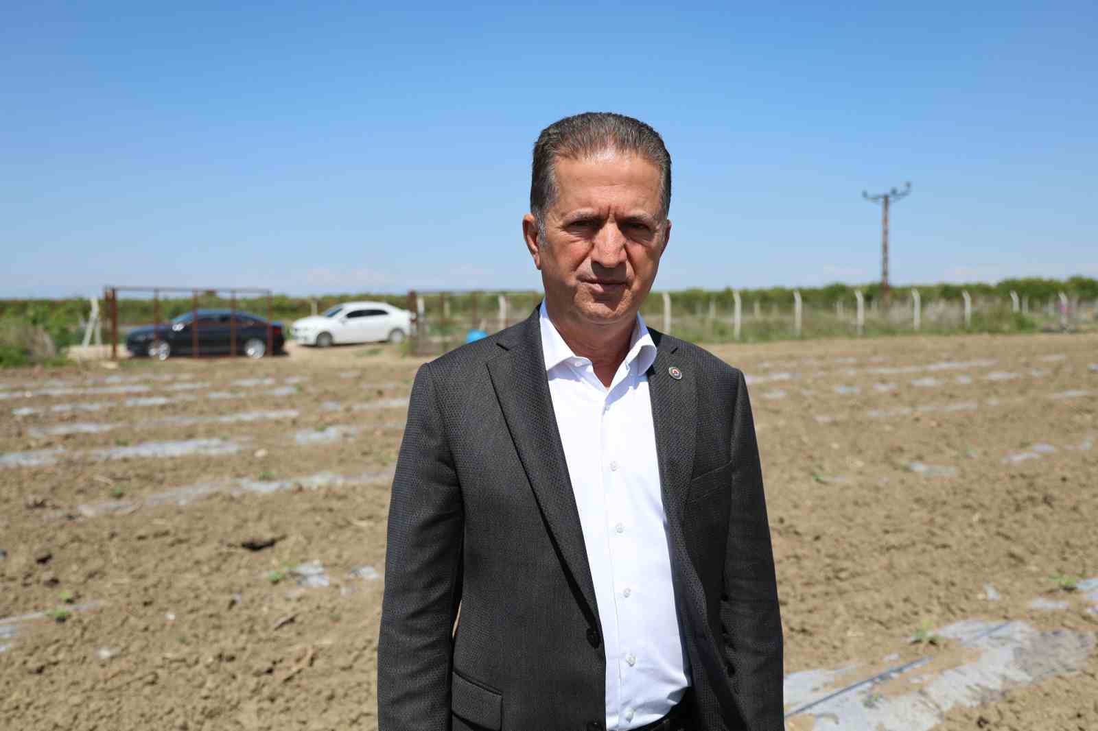 karpuz-uretiminin-lideri-adanada-ciftciler-10-lira-fiyat-bekliyor