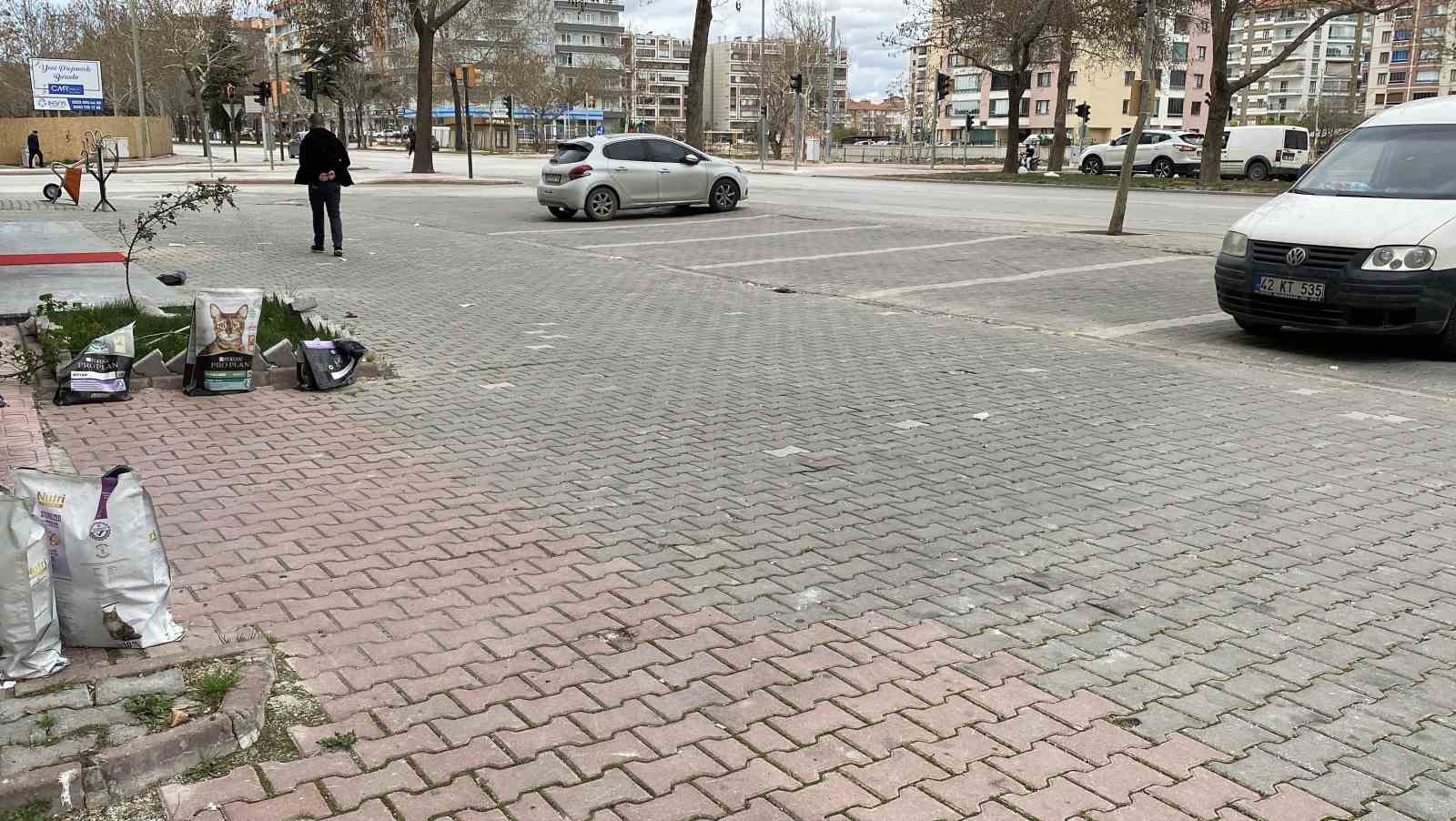 konyada-sahipsiz-kopekler-kediyi-parcaladi