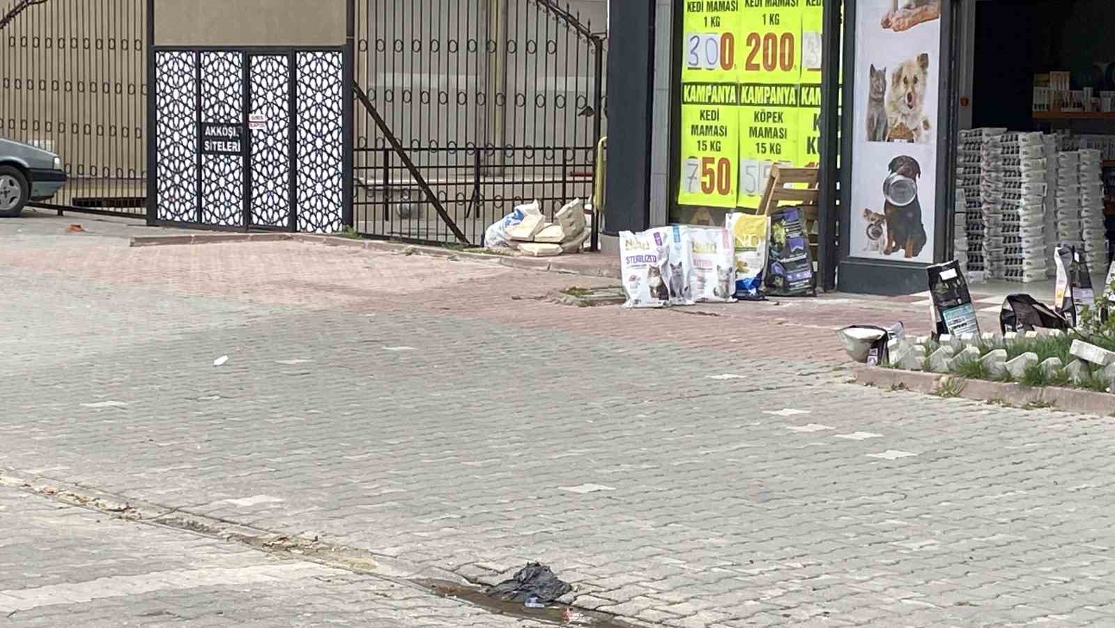konyada-sahipsiz-kopekler-kediyi-parcaladi